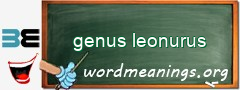 WordMeaning blackboard for genus leonurus